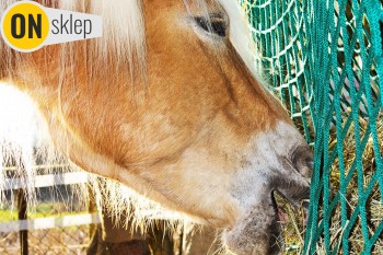  Konie - Paśnik dla konia z siatki – worek na paśnik z siatki sznurkowej 