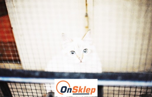   OnSklep - Siatki sznurkowe gwarantujące niezawodne zabezpieczenie Twojego balkonu w przystępnej cenie 